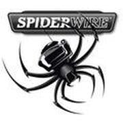 Spiderwire - Angler's Headquarters