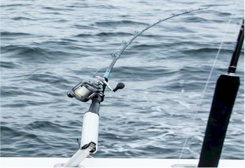 Daiwa Seagate 8'00 Wireline Trolling Rod – Fisherman's Headquarters