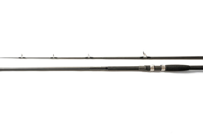 Century Paiva Fishing Rod
