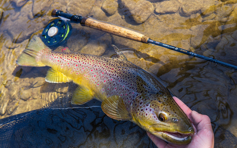 Cortland Nymph Series Fly Rods - European Style Nymphing