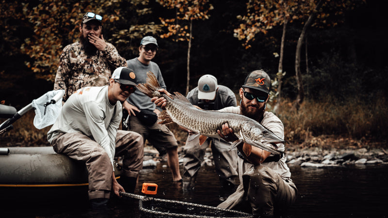 Cortland Pike Musky Sink 4