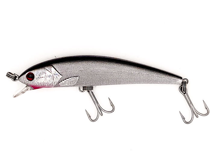 Guides Secret Shore Catch Mucho Minnow