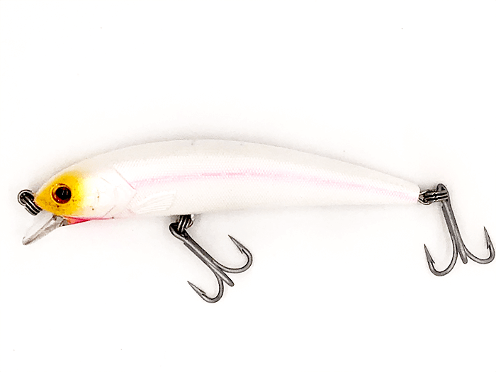 Guides Secret Shore Catch Mucho Minnow