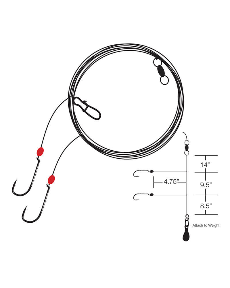 Standard Bottom Rig Gamakatsu Top & Bottom Rig – Fisherman's Headquarters