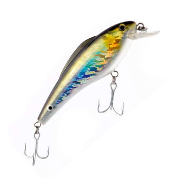 bunker fishing lures Guides Choice Bunka Boy Lures 3D Bunker