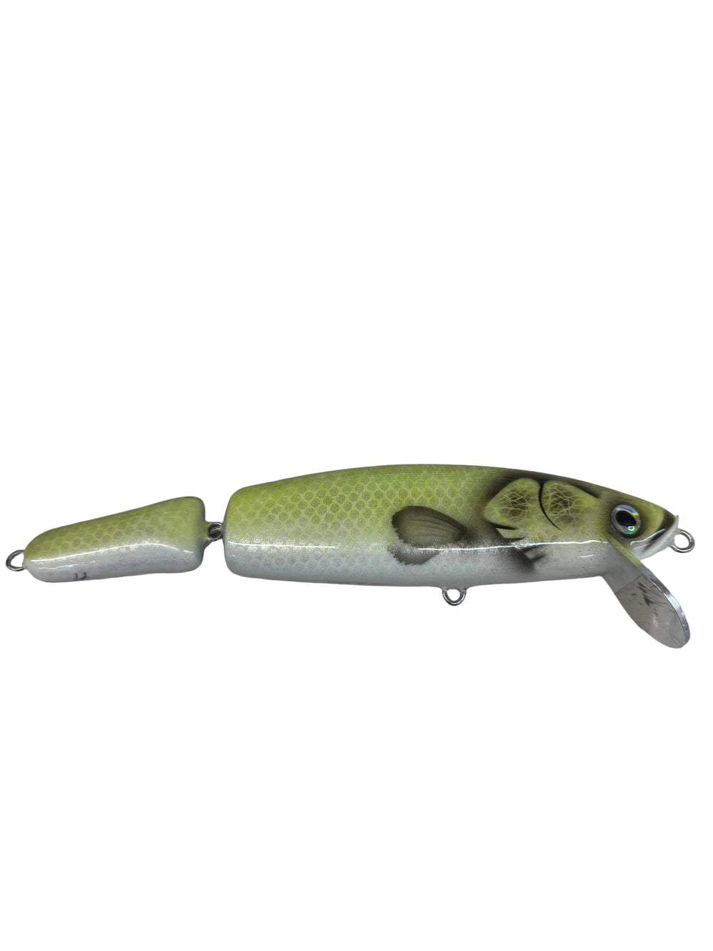 Saltwater & Freshwater Fishing Lures, Baits & Scents | Fish Heads   Fisherman's Headquarters