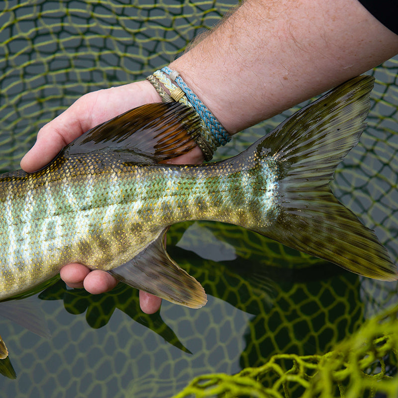 Cortland Pike Musky Sink 8