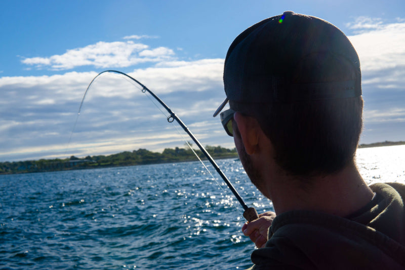 Cortland Striped Bass Float