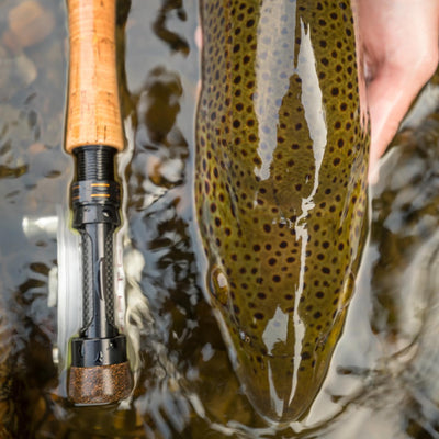 Cortland Competition MKII Series Fly Rod - Euro Style Nymphing