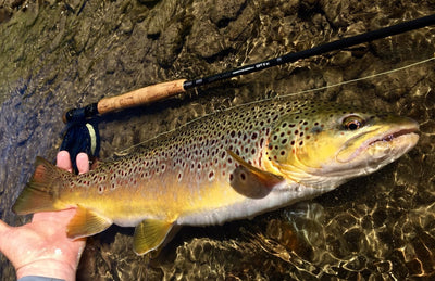 Cortland Competition MKII Series Fly Rod - Euro Style Nymphing