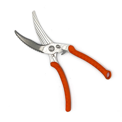 No1 Fishing Scissor & Shears