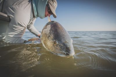 Cortland Cold Redfish