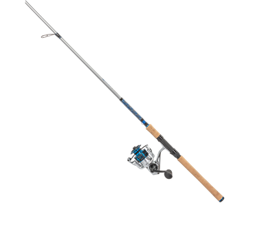 Quantum Strive Spinning Combo