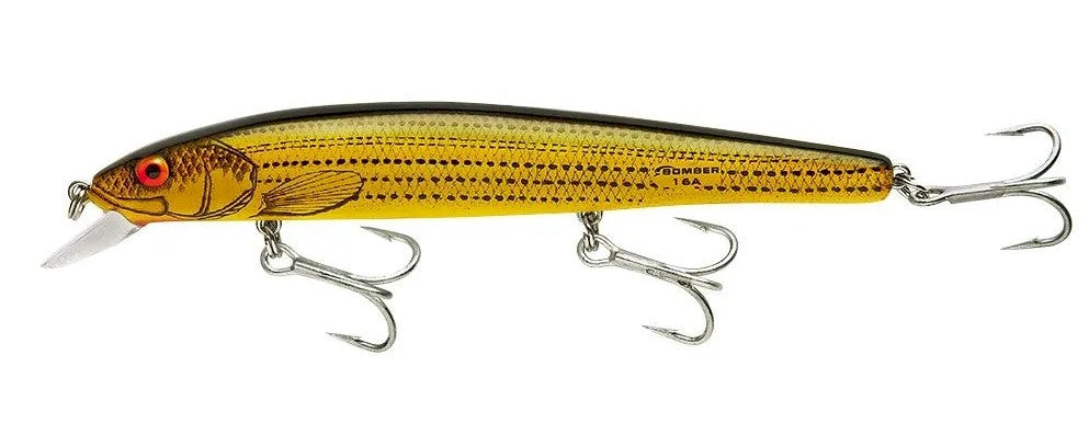 bass smasher firebolt lure Bomber BSW16A SW Long A – Fisherman's Headquarters