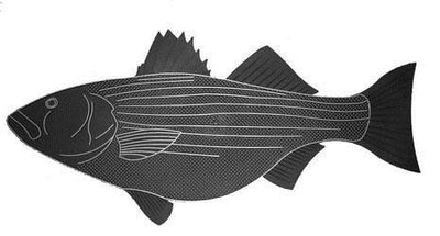 Fish Doormat Striped Bass - 000000013918