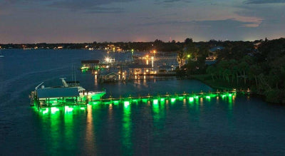 Hydro Glow Dock Light - 814347001008
