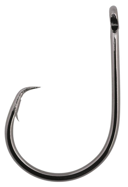 SSW In Line Circle Hook