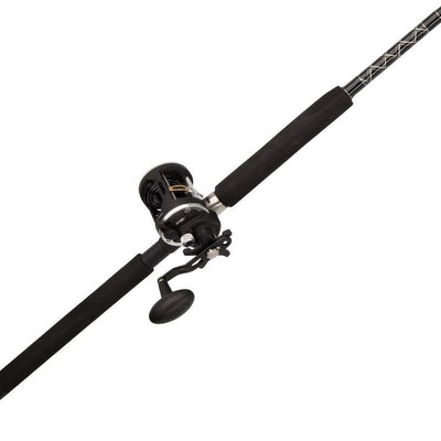 Penn Rival Levelwind Conventional Combo - 031324171817